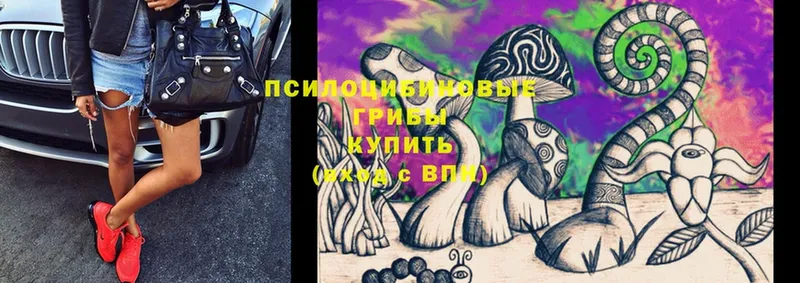 Галлюциногенные грибы MAGIC MUSHROOMS  Бодайбо 